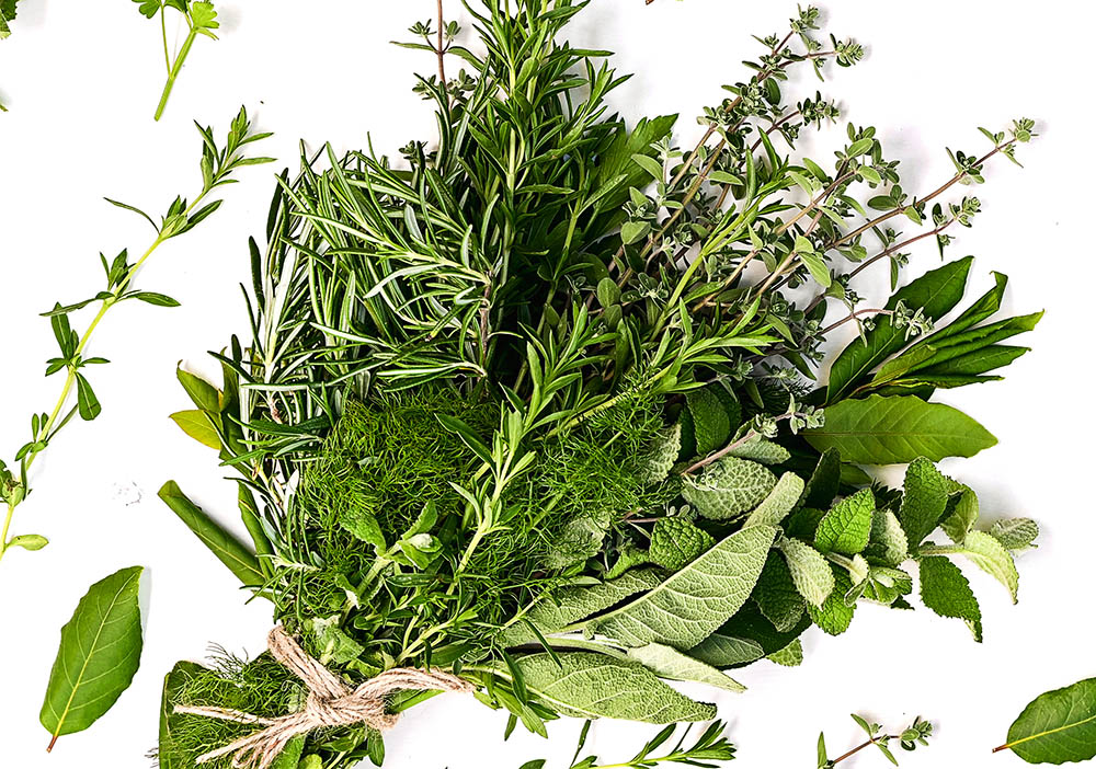 The five essential rules to maximize the effects of herbs